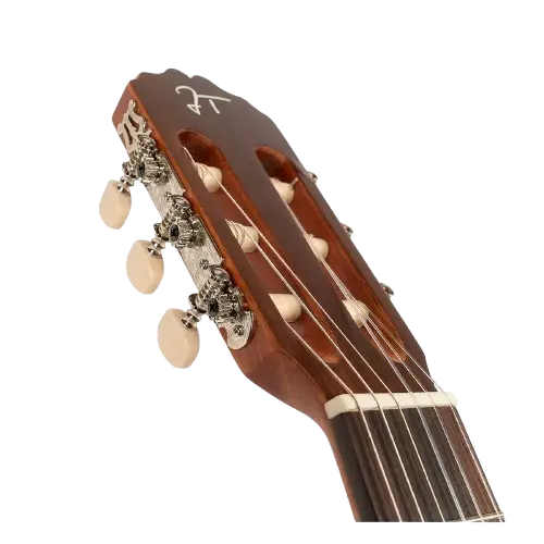 clavijero guitarra jtc5