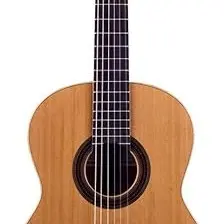 guitarra jose torres jtc 10