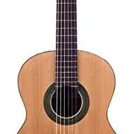 guitarra jose torres jtc 20