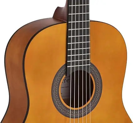 guitarra navarrez n13 tapa