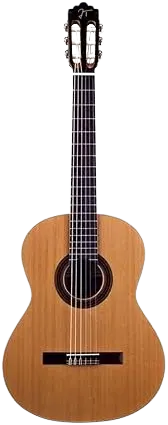guitarra jose torres jtc10