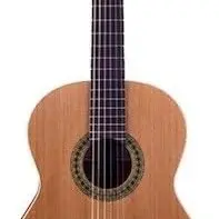 guitarra jose torres jtc 5