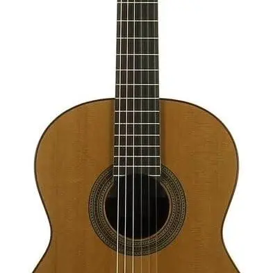 guitarra jose torres jtc30