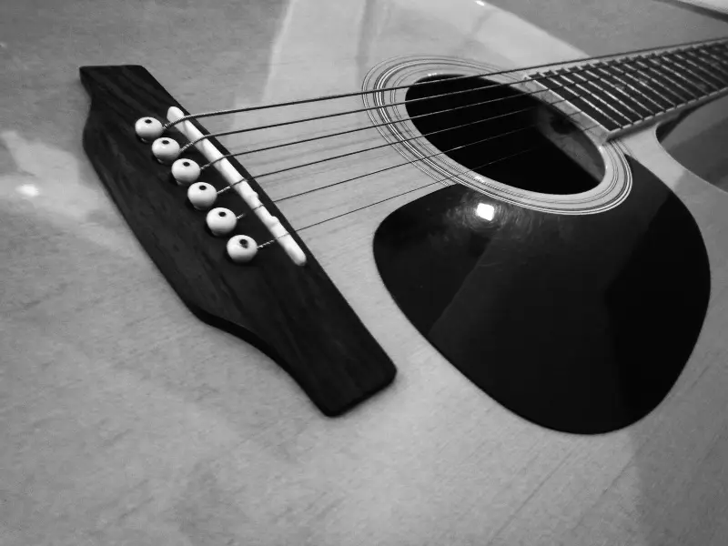 acustica cutaway acustica cutaway