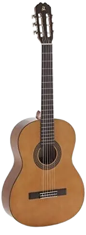 guitarra admira paloma