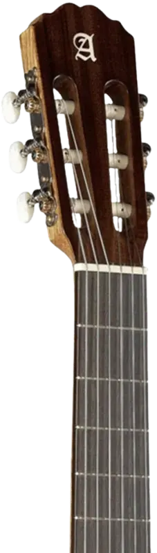 mastil guitarra alhambra 2c