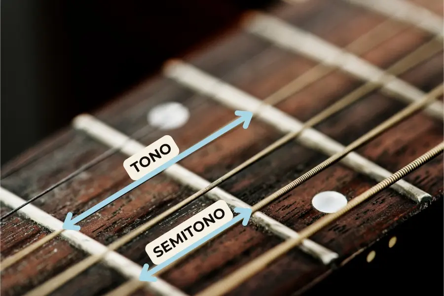 TONO Y SEMITONO MÁSTIL GUITARRA TONO Y SEMITONO MÁSTIL GUITARRA
