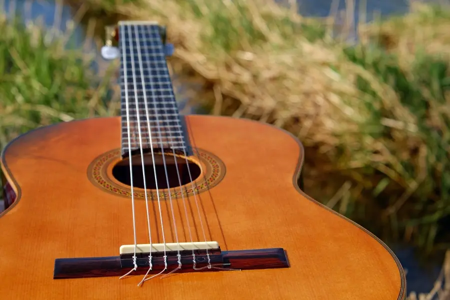 blog partes guitarra clasica