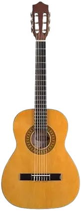 Stagg C530 guitarra completa